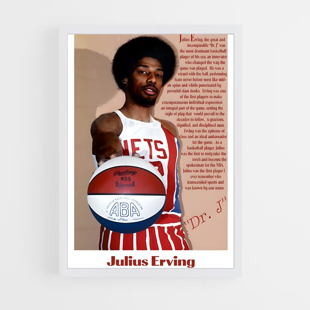Poster L'Héritage du Dr. J. – affiche Basketball (vue 3)